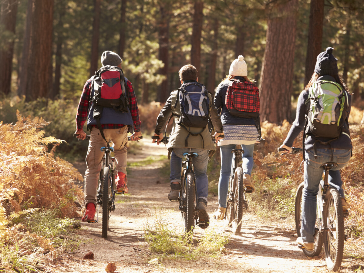 Vier Menschen auf Fahrrädern im Wald