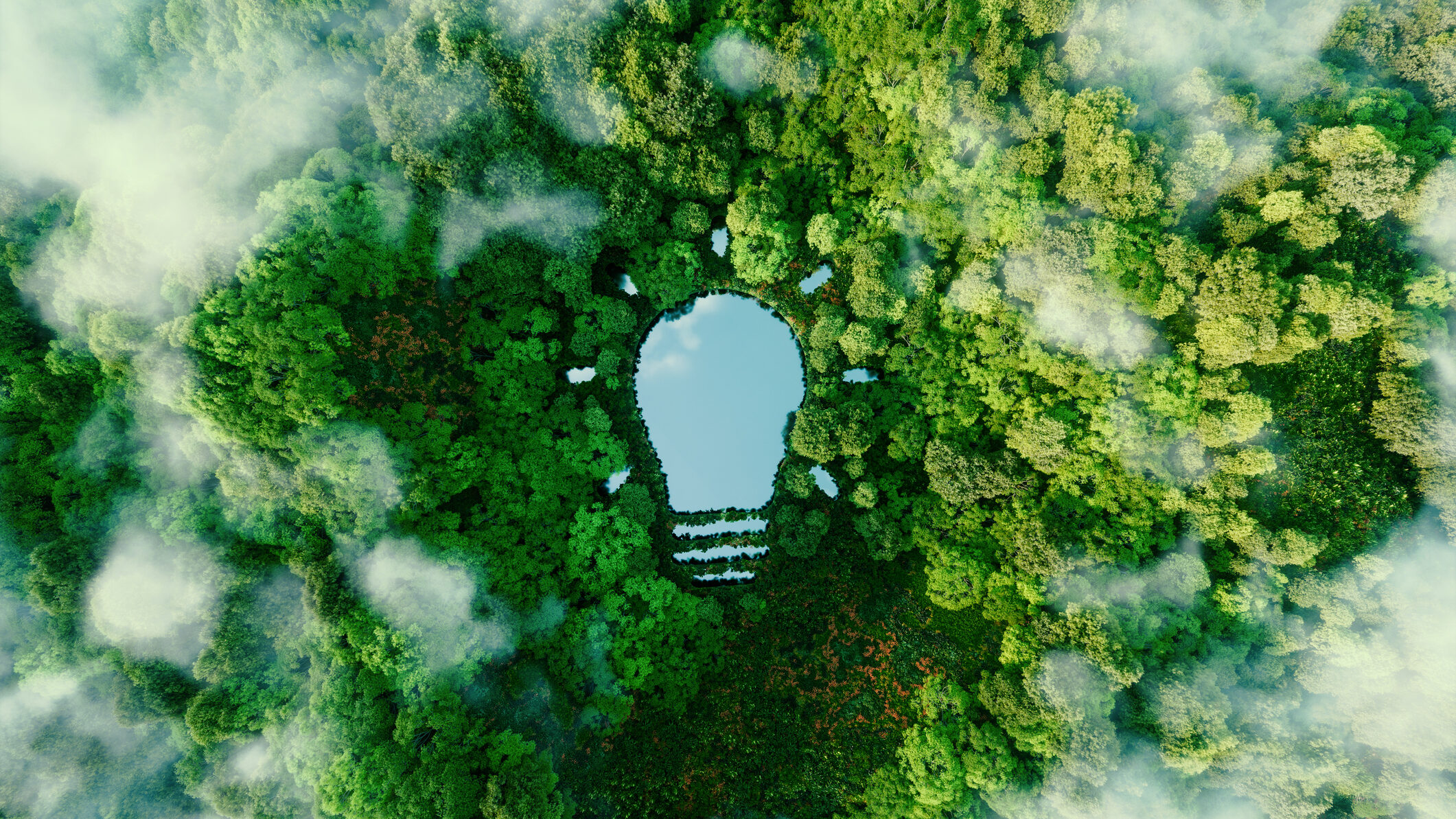 Forêt vierge avec une ampoule stylisée